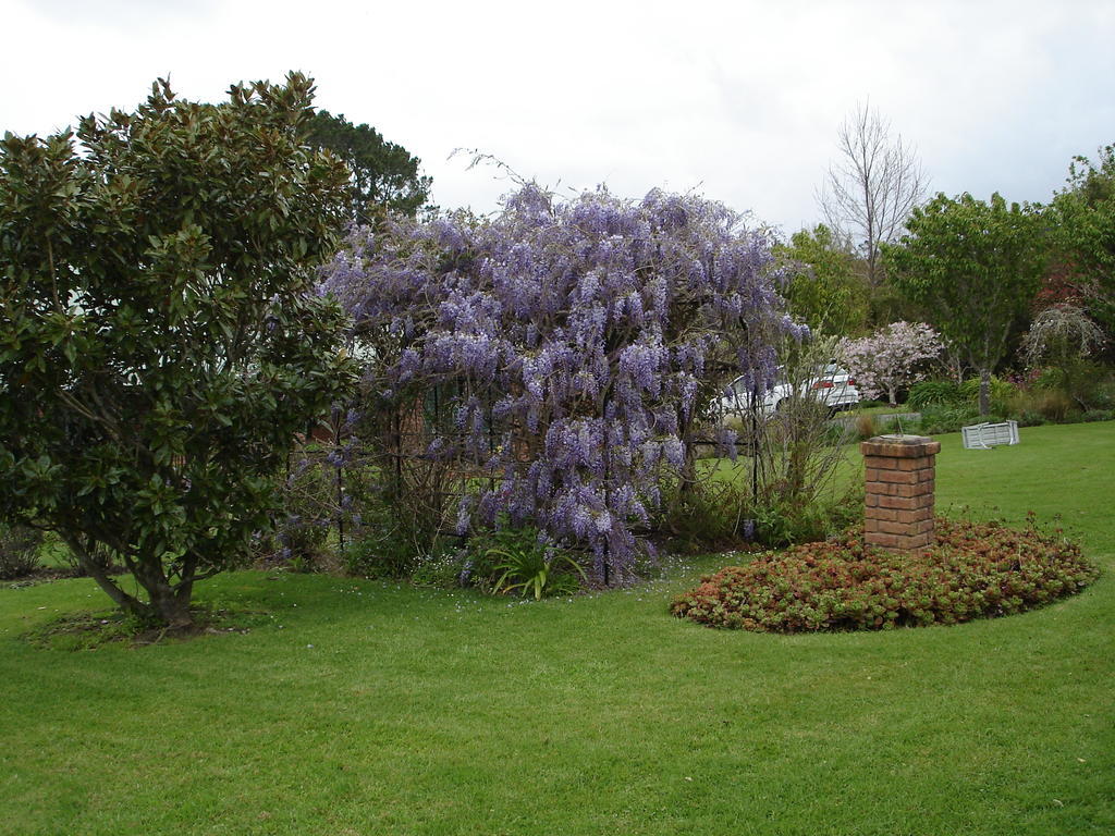 Warkworth Country House Экстерьер фото